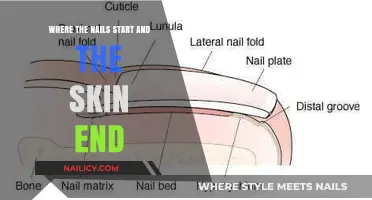 Nail-Skin Junction: Exploring the Fascinating Boundary of Beauty and Biology