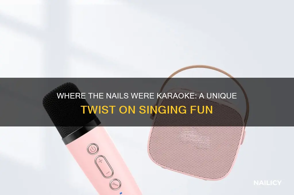 where the nails were karaoke