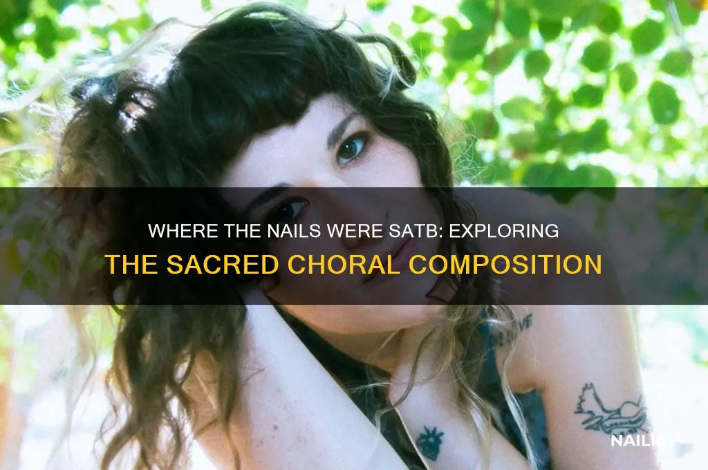 where the nails were satb