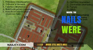 Uncovering the Mystery: Where the Nails Were Found and Why