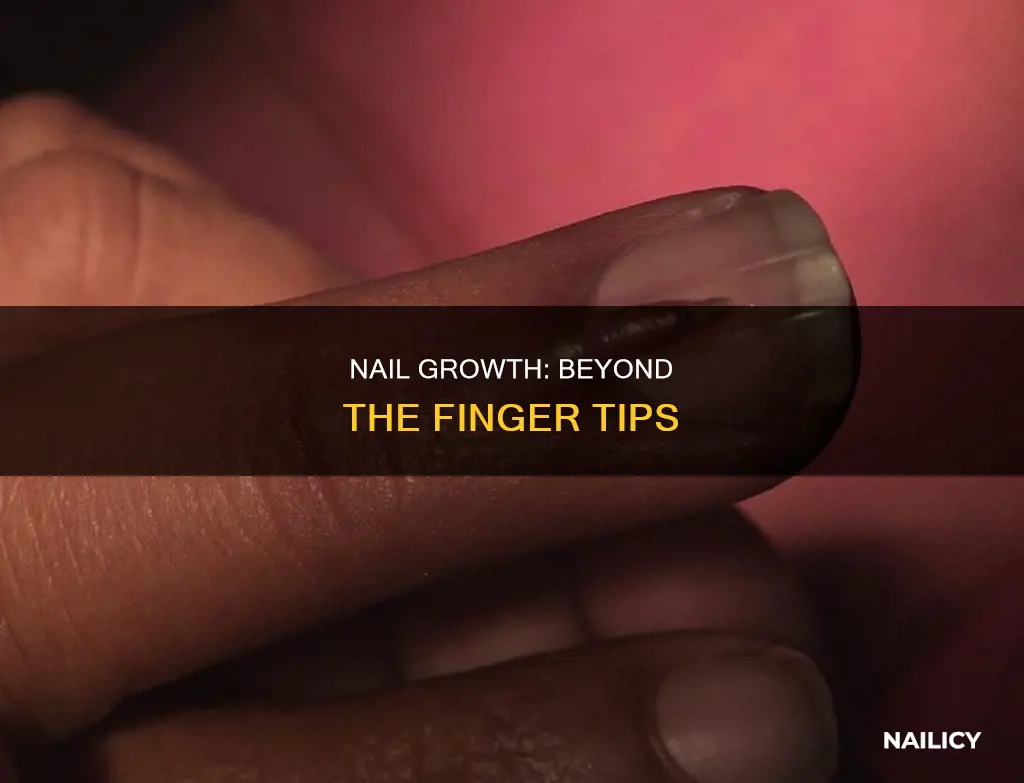 where the natural nail grows beyond the finger