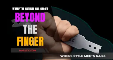 Beyond the Finger: Exploring Natural Nail Growth