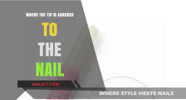 Where the Tip Meets the Nail: Understanding Adhesion Techniques
