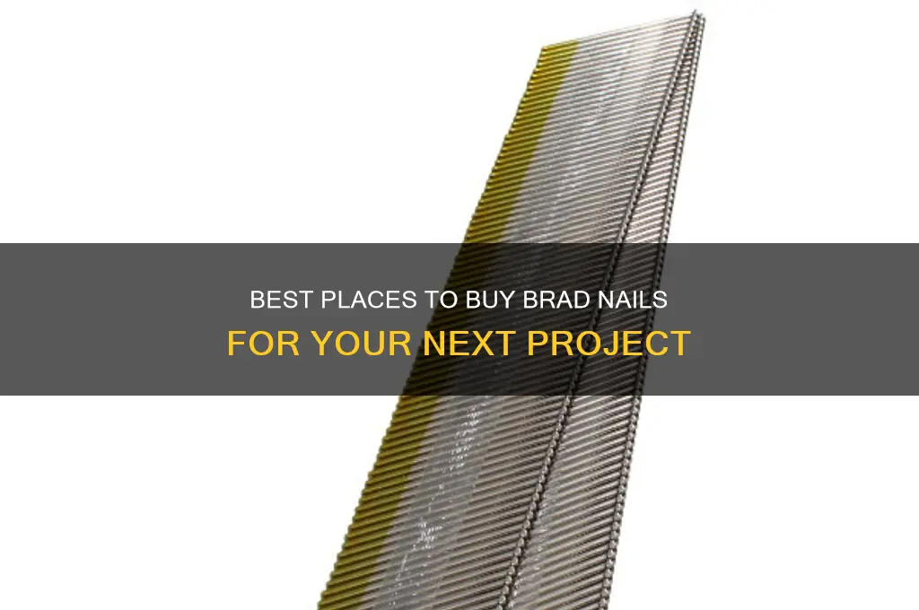 where to buy brad nails
