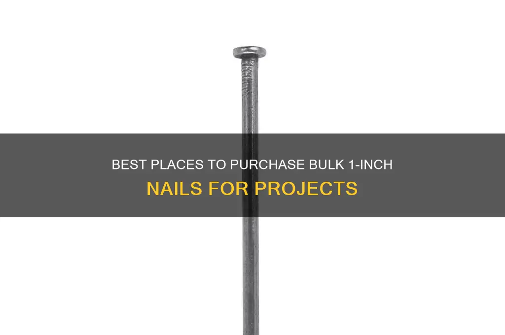 where to buy bulk 1 inch nails