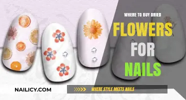 Top Spots to Purchase Dried Flowers for Nail Art Designs