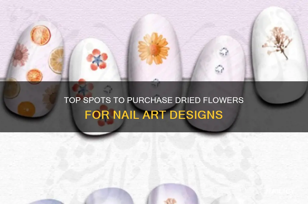 where to buy dried flowers for nails