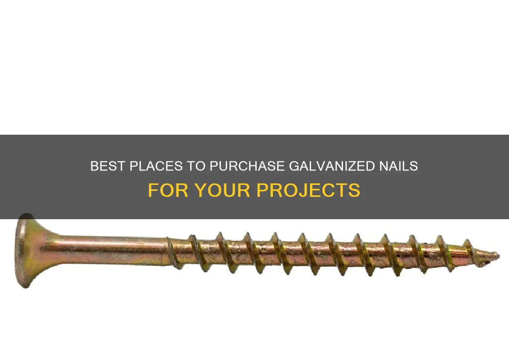 where to buy galvanized nails