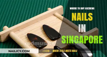 Best Places to Purchase Guzheng Nails in Singapore: A Guide