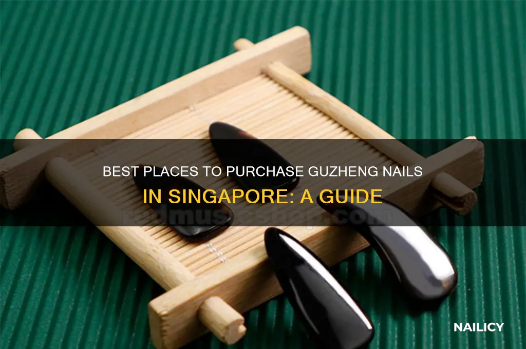 where to buy guzheng nails in singapore