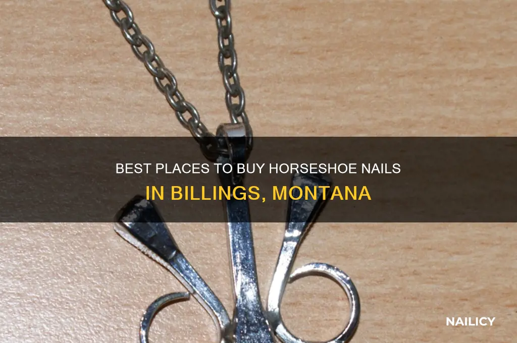 where to buy horseshoe nails in billings montana