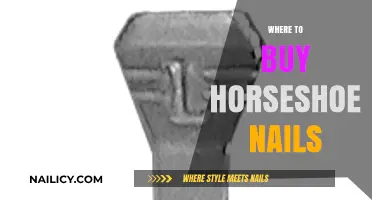 Where to Buy Horseshoe Nails: Top Retailers and Online Sources