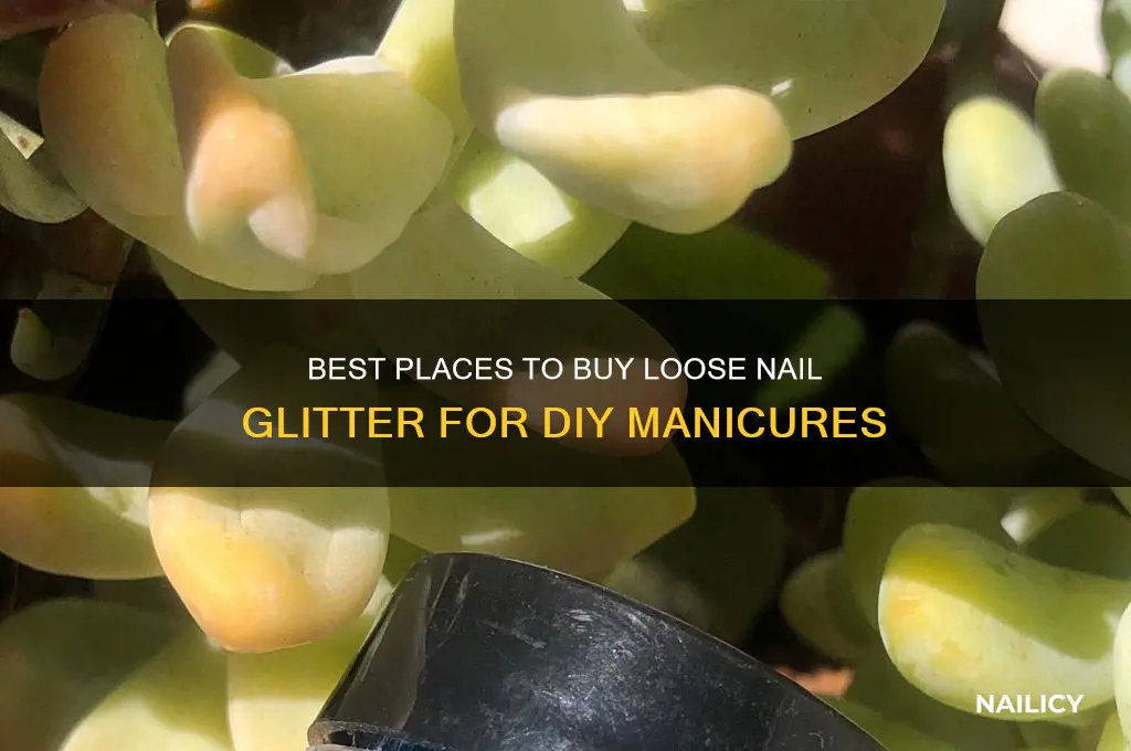 where to buy loose glitter for nails