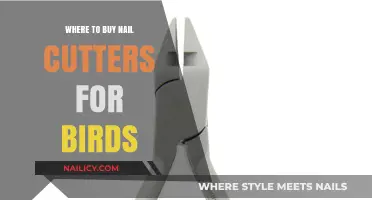 Best Places to Purchase Safe and Effective Bird Nail Cutters