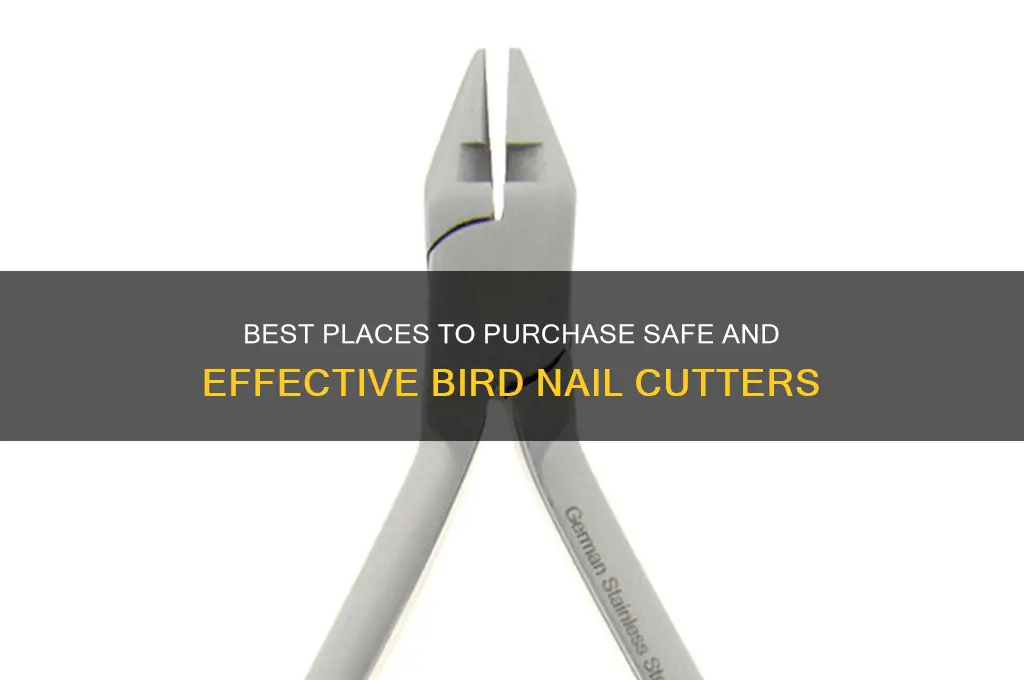 where to buy nail cutters for birds
