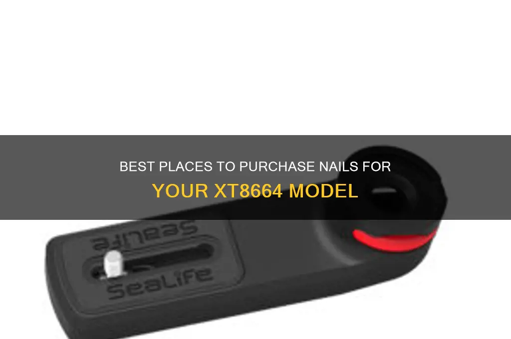 where to buy nails for model xt8664