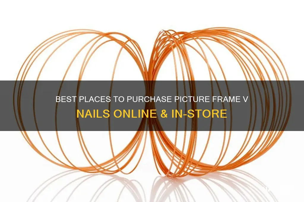 where to buy picture frame v nails