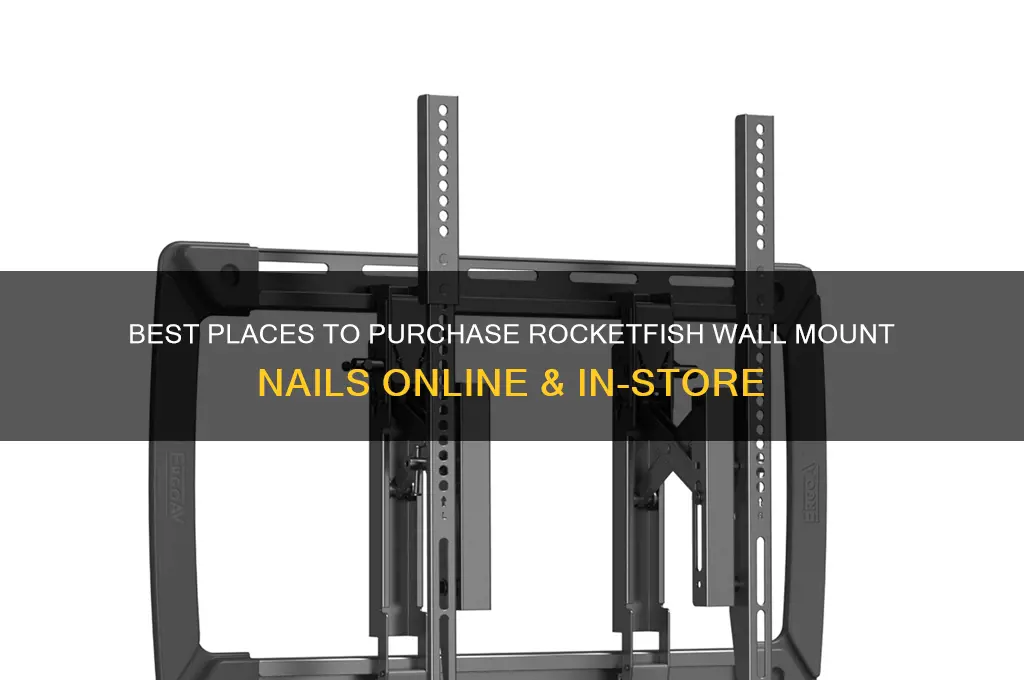 where to buy rocketfish wall mount nails