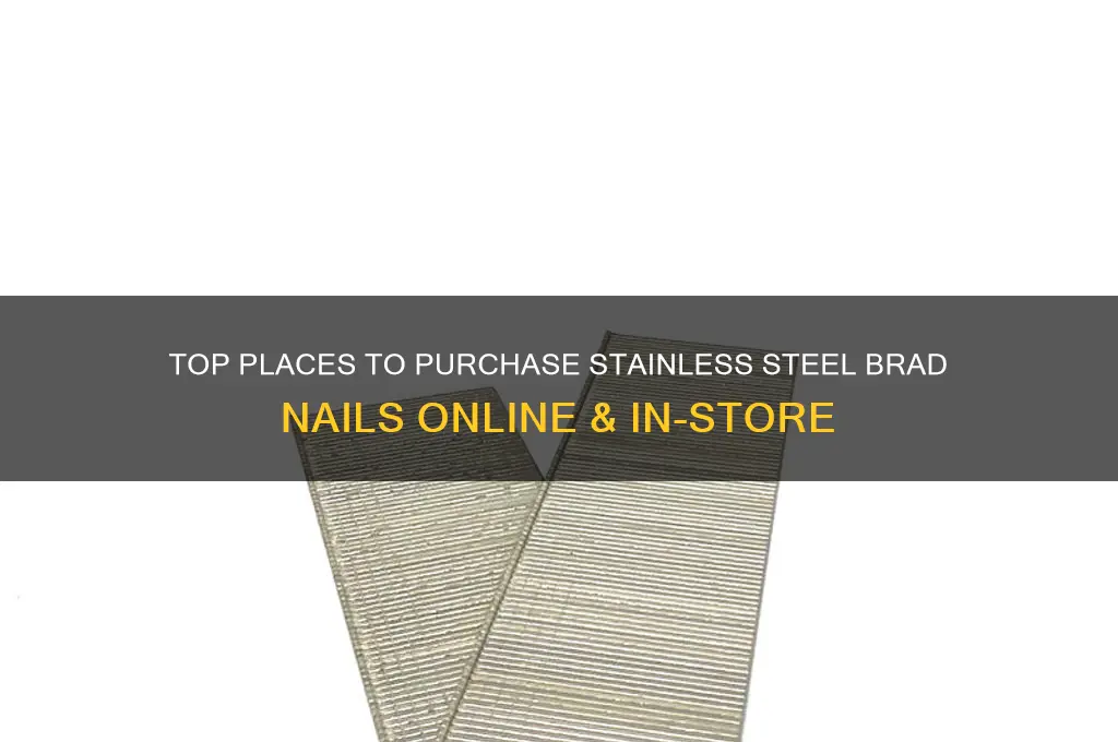 where to buy stainless steel brad nails