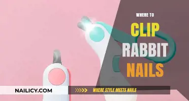 Safe and Easy Nail Clipping: Best Spots for Rabbit Grooming