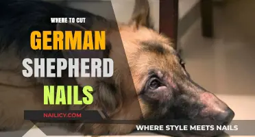 German Shepherd Nails: Trimming Tips and Tricks