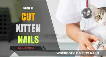 Cutting Your Kitten's Nails: A Safe Place