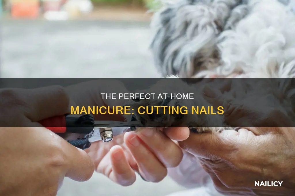 where to cut nails at home