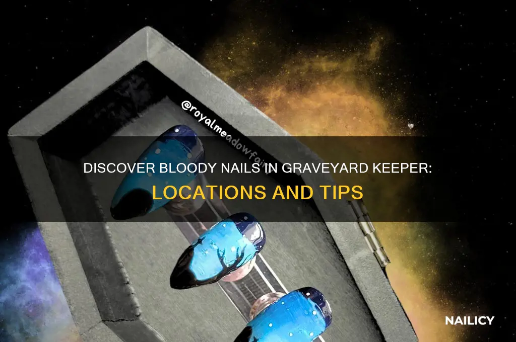 where to find bloody nails graveyard keeper