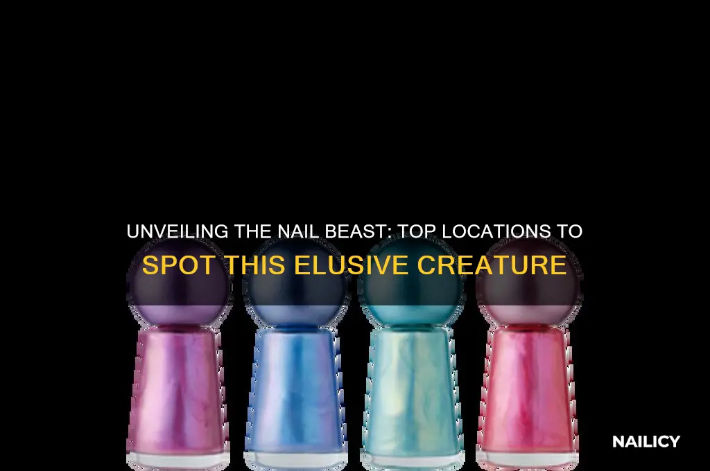 where to find nail beast