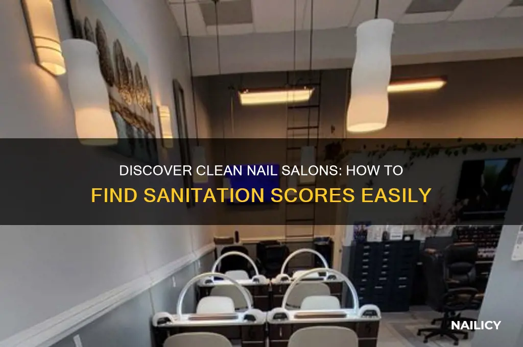 where to find nail salon sanitaion scores