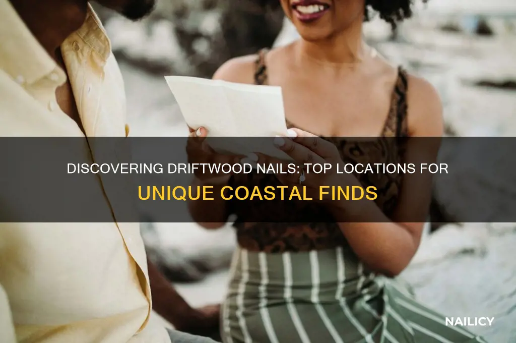 where to find nails driftwood