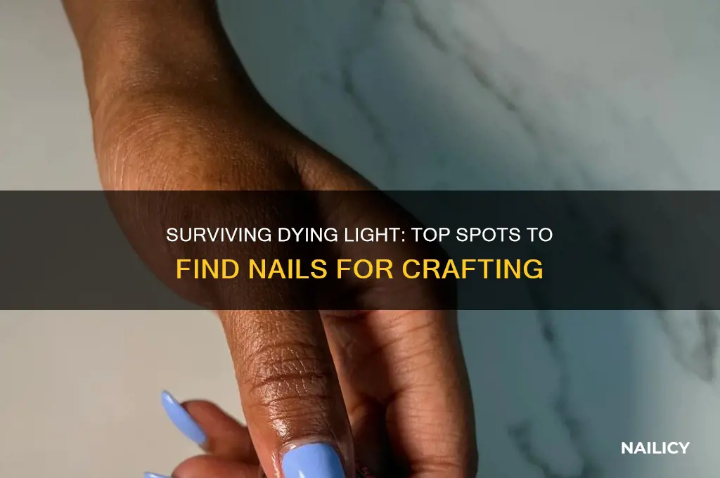 where to find nails in dying light