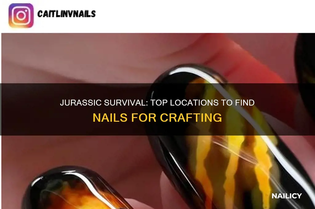 where to find nails in jurassic survival