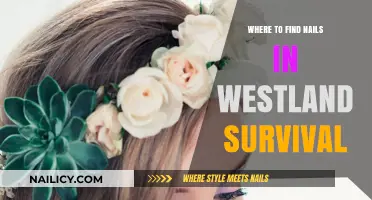 Discover Hidden Nail Locations in Westland Survival: A Comprehensive Guide
