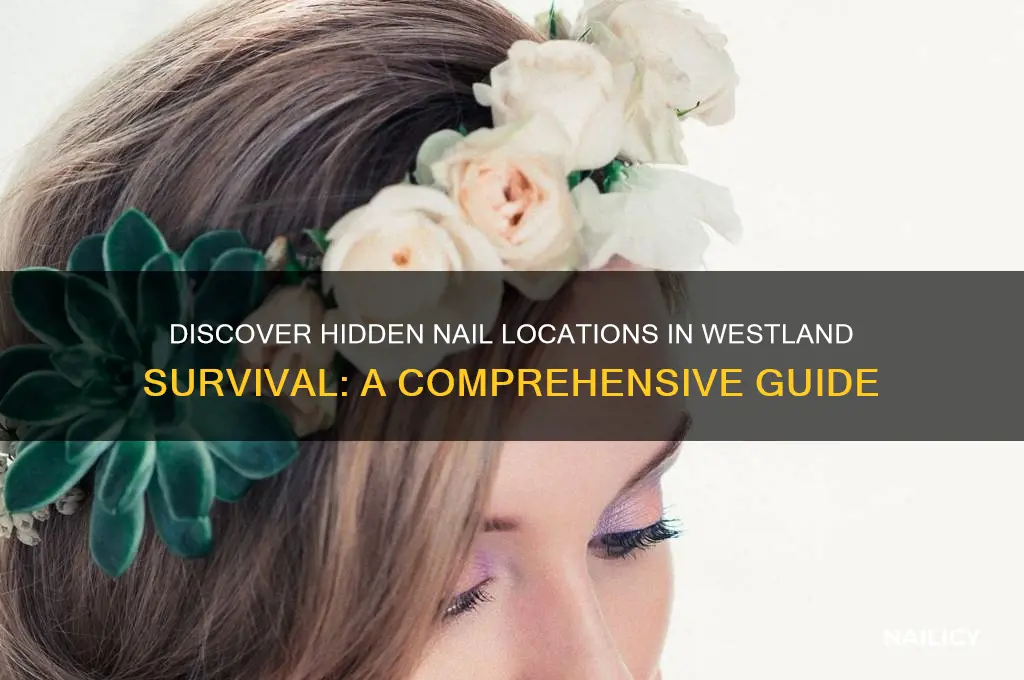 where to find nails in westland survival