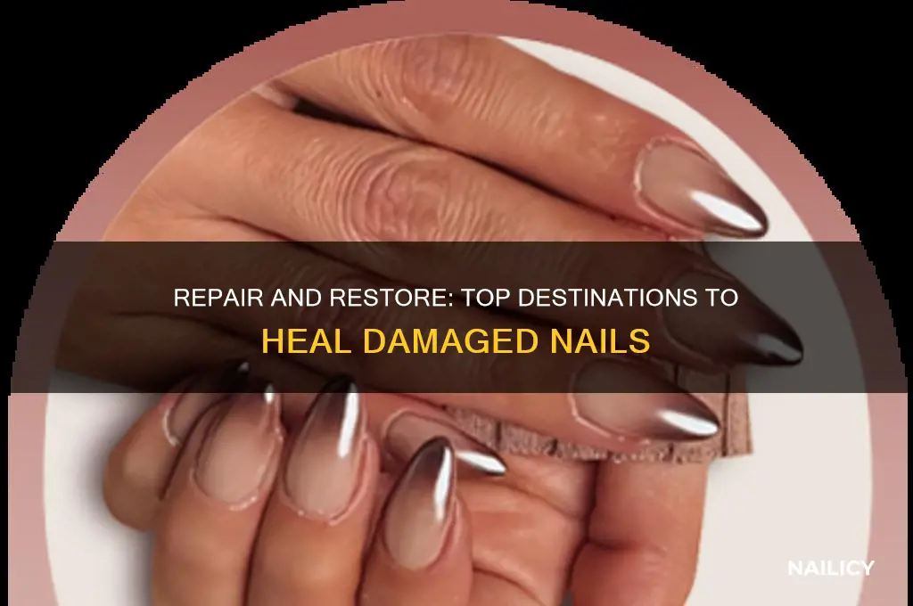 where to go to upgrade nail damage