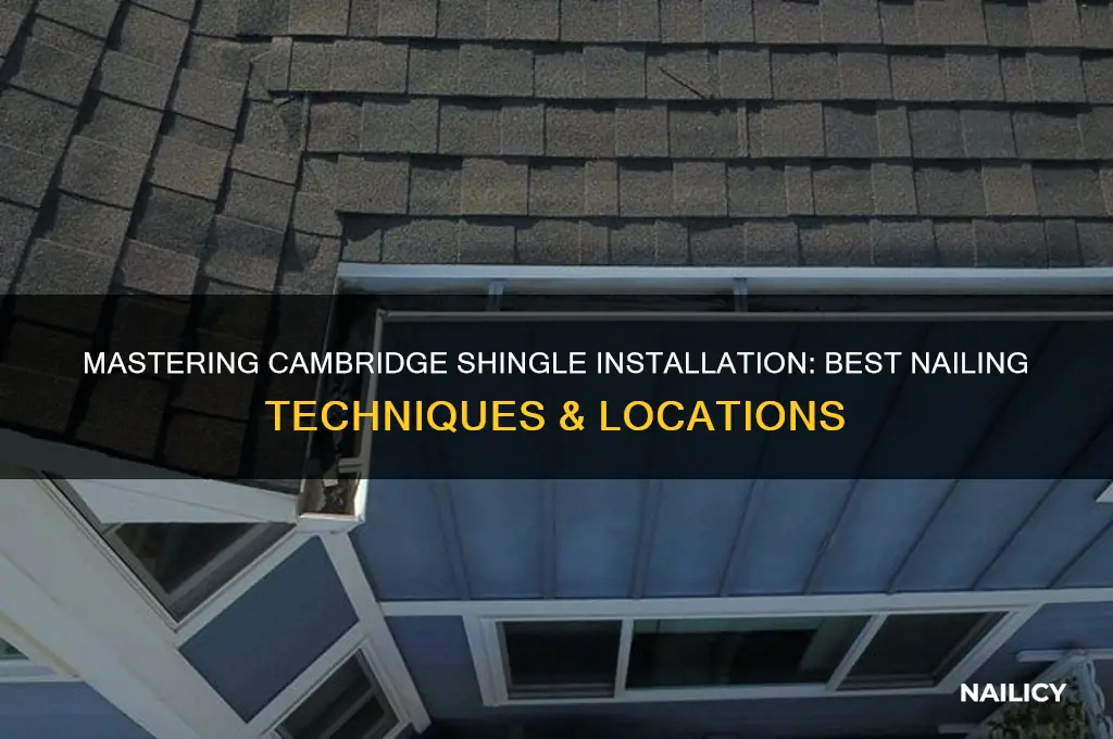 where to nail cambridge shingles