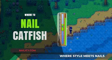 Top Catfish Hotspots: Best Locations to Hook Monster Catfish