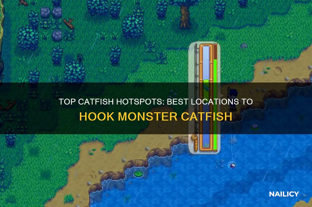 where to nail catfish