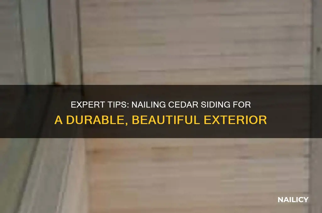 where to nail cedar siding