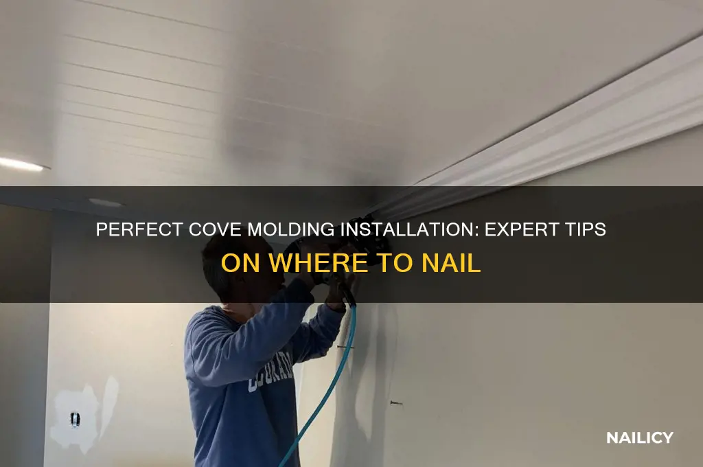 where to nail cove molding