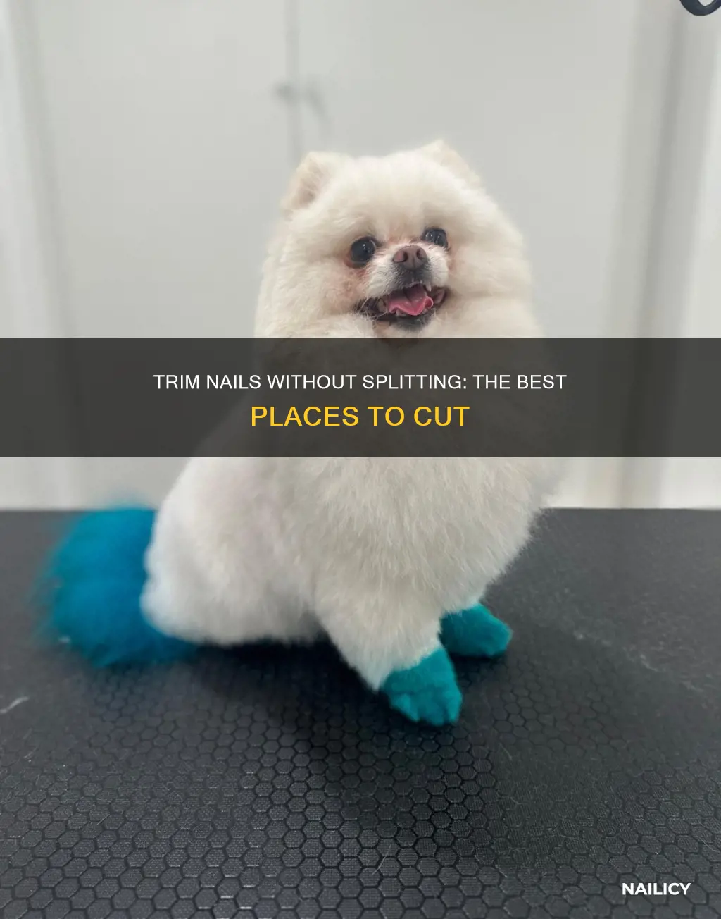 where to nail trim to not split