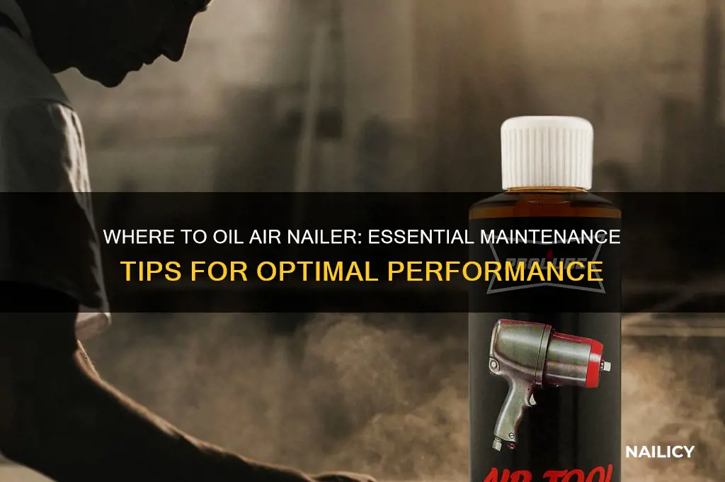 where to oil air nailer