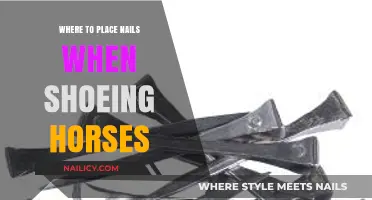 Proper Nail Placement Techniques for Effective Horse Shoeing
