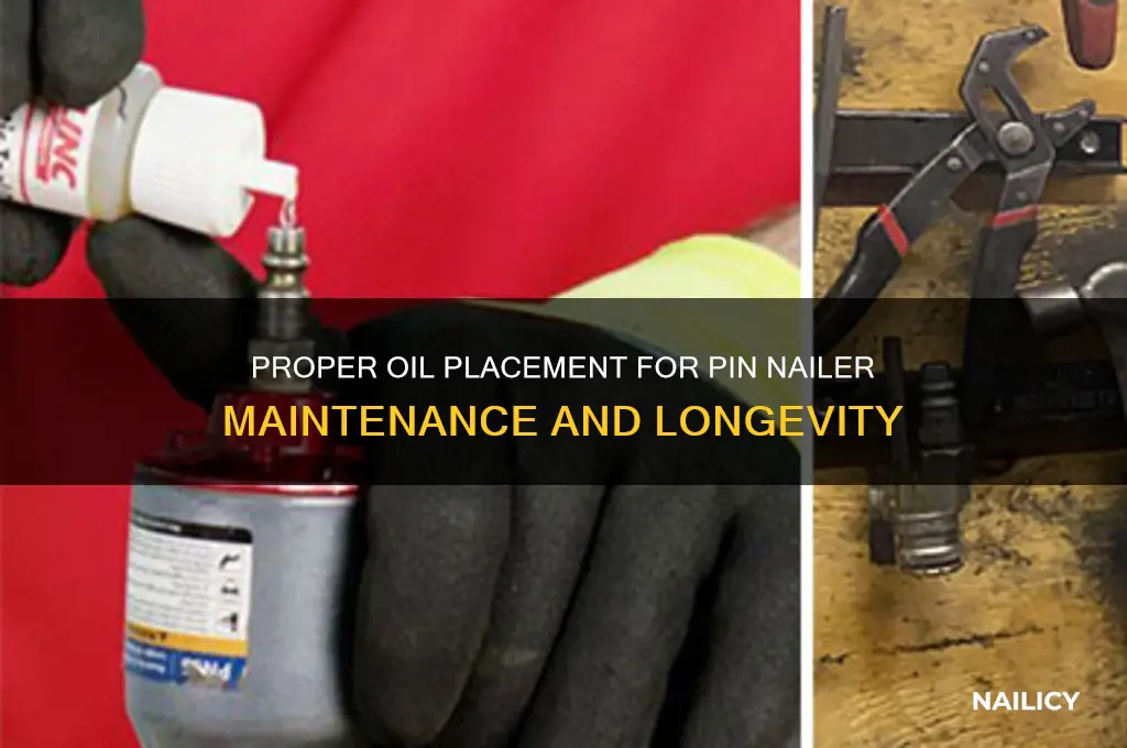 where to put oil on pin nailer
