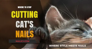 The Perfect Length for Your Cat's Nails