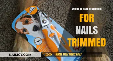 Senior Dog Nail Trimming: Where to Go?