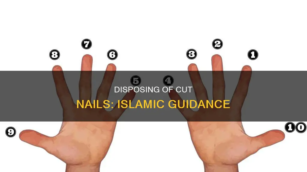 where to throw cut nails in islam