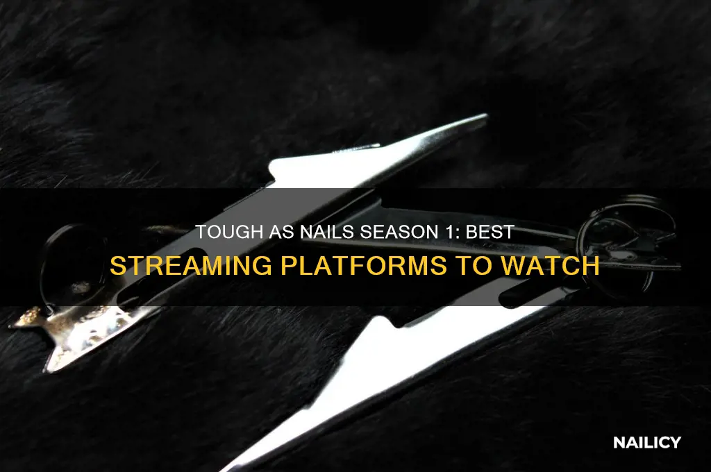 where to watch tough as nails season 1