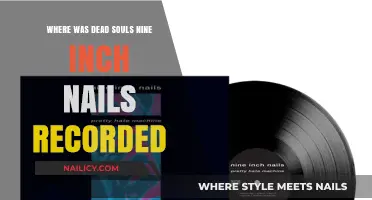 Dead Souls Nine Inch Nails: Recording Location and Studio Insights